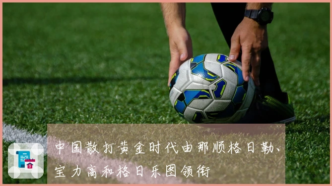 中国散打黄金时代由那顺格日勒、宝力高和格日乐图领衔