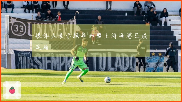媒体人表示杨希加盟上海海港已成定局
