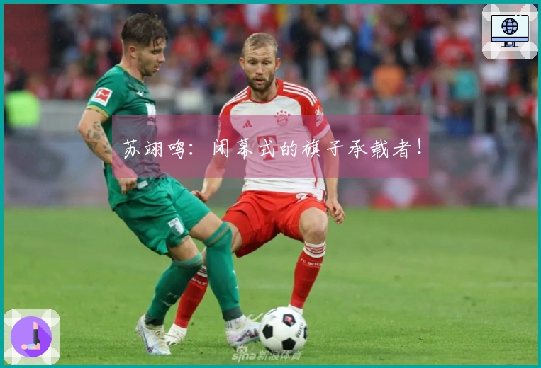 苏翊鸣：闭幕式的旗子承载者！