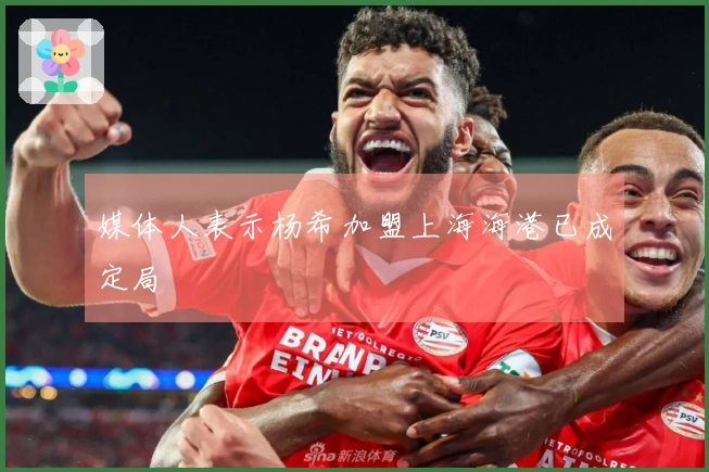 媒体人表示杨希加盟上海海港已成定局